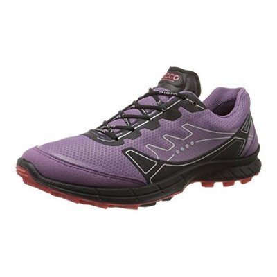 時尚與性能兼具 ECCO Biom Trail FL GTX 女士訓練鞋亞馬遜熱銷中